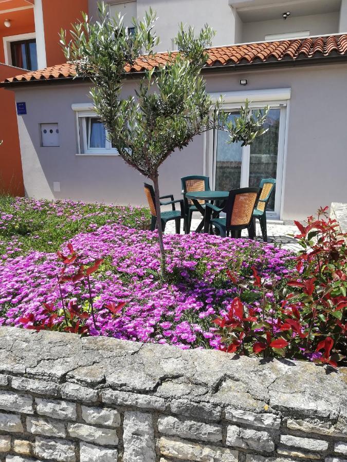 Apartment Lavanda 普莱曼图拉 外观 照片